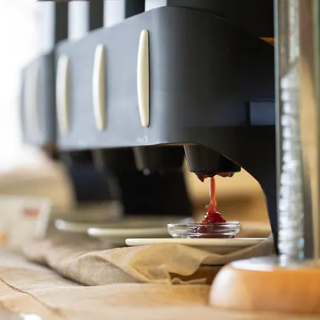 מלון Bristol סוטומרינה